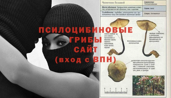 мяу мяу мука Белокуриха