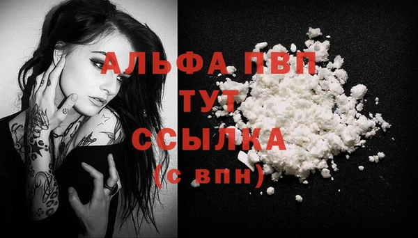 мяу мяу мука Белокуриха