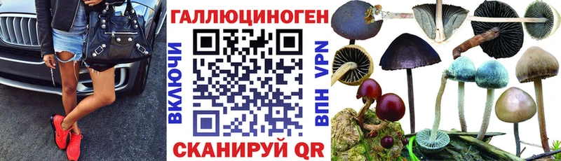 сколько стоит  Очёр  Псилоцибиновые грибы ЛСД 