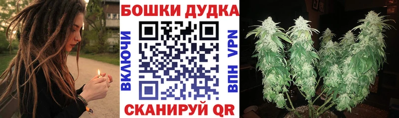Каннабис SATIVA & INDICA  наркошоп  Очёр 